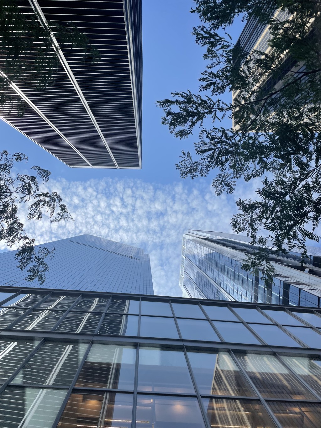 Reel resumen de Nueva&nbsp;York